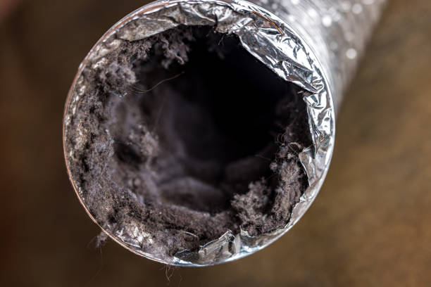 Best Air Duct Cleaning Near Me  in Julian, CA